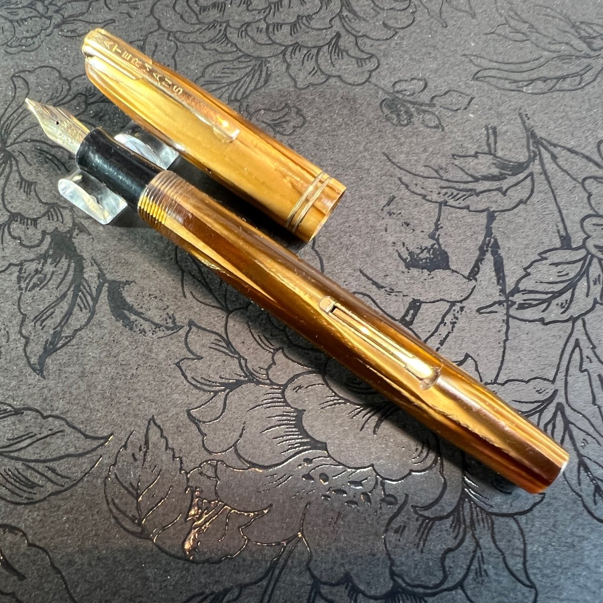 Waterman's Stalwart - Image 3